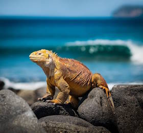 Ecuador