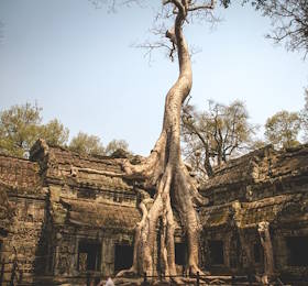 Cambodia