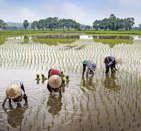 Vietnam