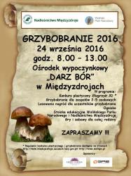 GRZYBOBRANIE-PLAKAT-page-001